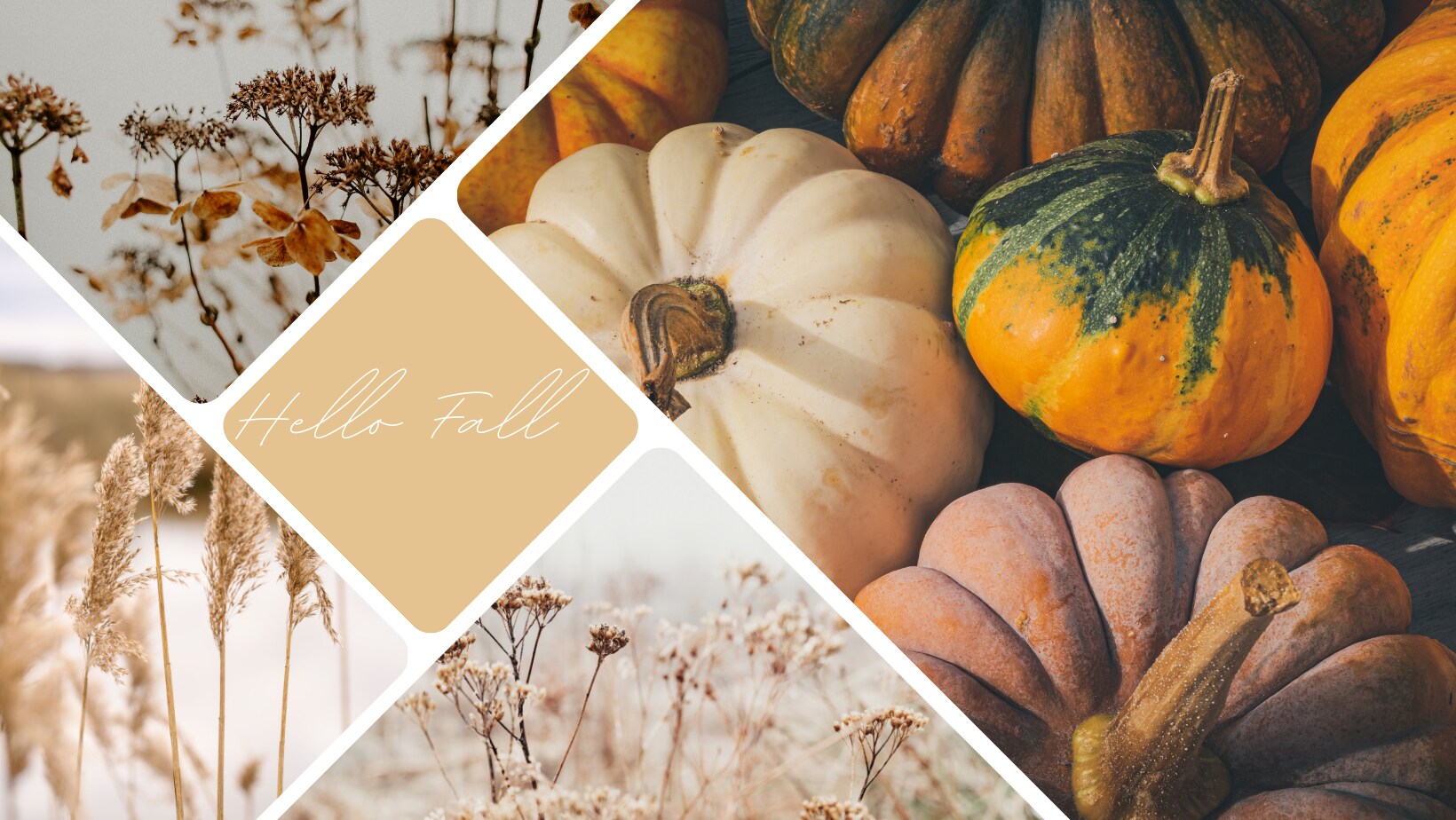 Hendersonville Florist Flower Delivery by Florist